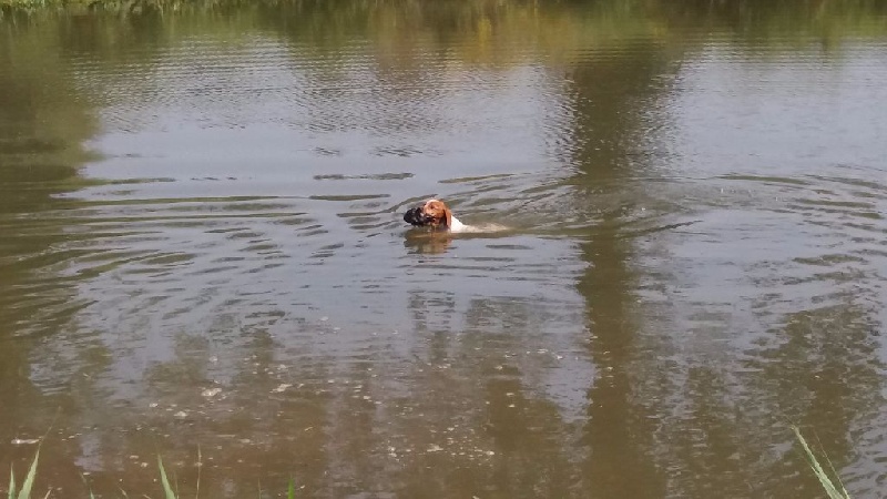 RAPPORT A L'EAU 4 MOIS